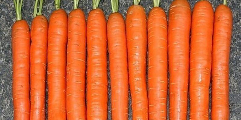 Простой секрет выращивания моркови