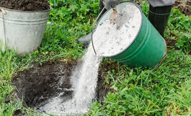 Как раскислить почву на участке – полезные советы для садоводов и огородников