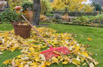 Нужно ли убирать из сада опавшие осенью листья?