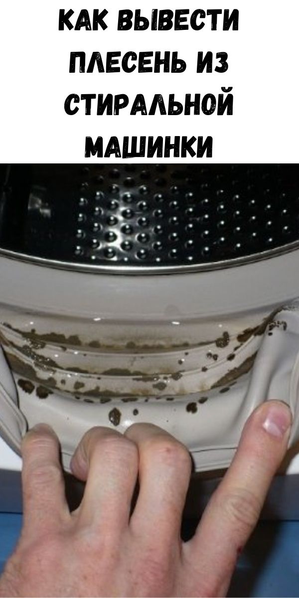 Как вывести плесень из стиральной машинки