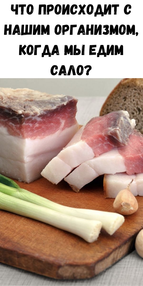 Что происходит с нашим организмом, когда мы едим сало?
