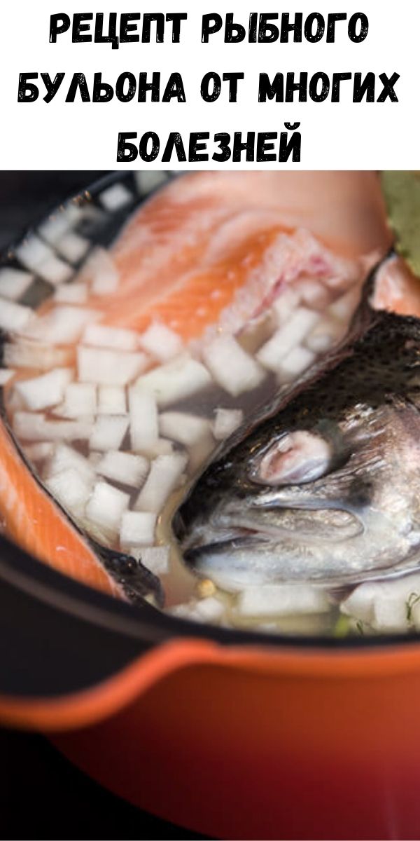 Рецепт рыбного бульона от многих болезней