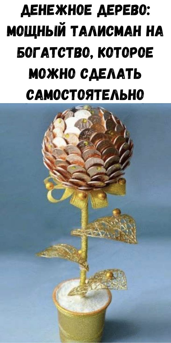 Денежное дерево: Мощный талисман на богатство, которое можно сделать самостоятельно