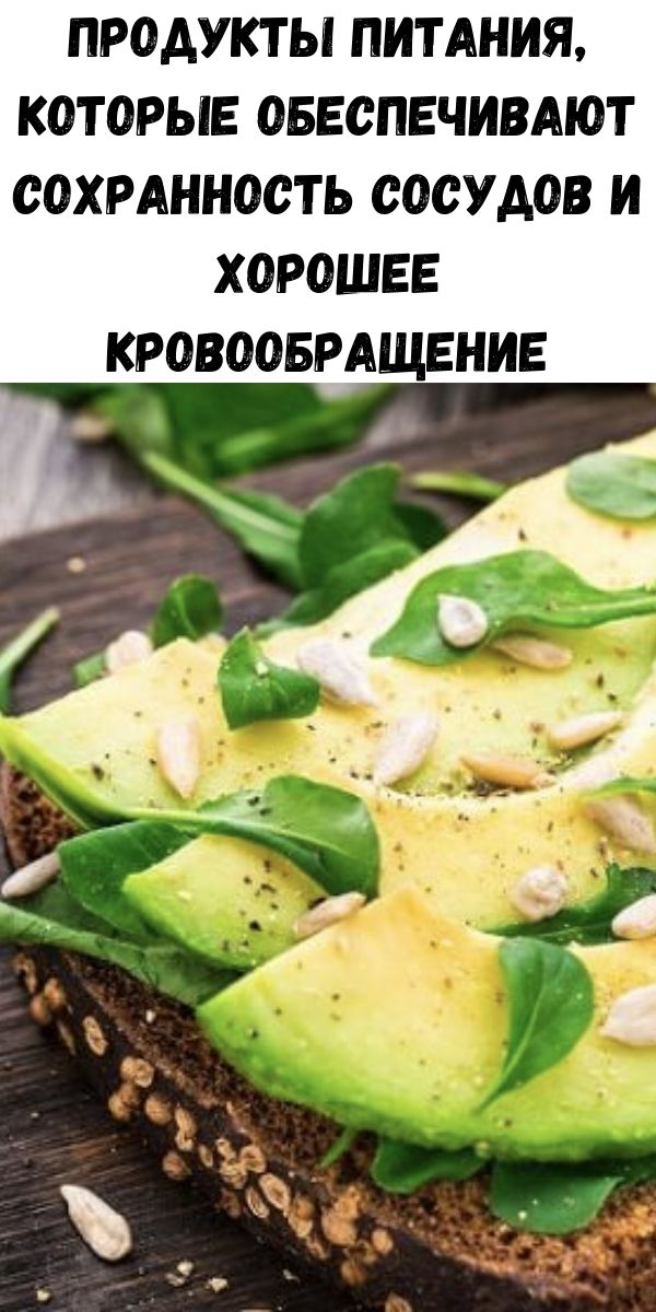 Продукты питания, которые обеспечивают сохранность сосудов и хорошее кровообращение