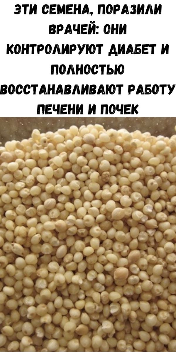Эти семена, поразили врачей: они контролируют диабет и полностью восстанавливают работу печени и почек