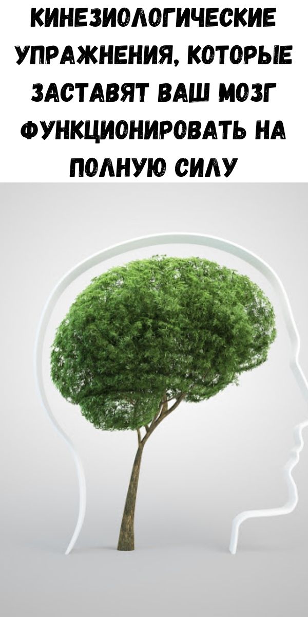 Кинезиологические упражнения, которые заставят Ваш мозг функционировать на полную силу