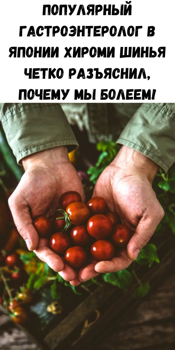 Популярный гастроэнтеролог в Японии Хироми Шинья четко разъяснил, почему мы болеем!
