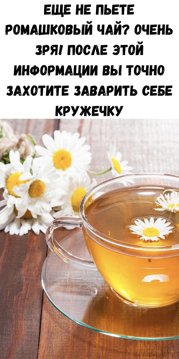 Еще не пьете ромашковый чай? Очень зря! После этой информации вы точно захотите заварить себе кружечку
