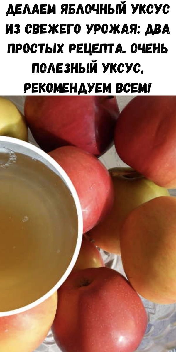 Делаем яблочный уксус из свежего урожая: два простых рецепта. Очень полезный уксус, рекомендуем всем!