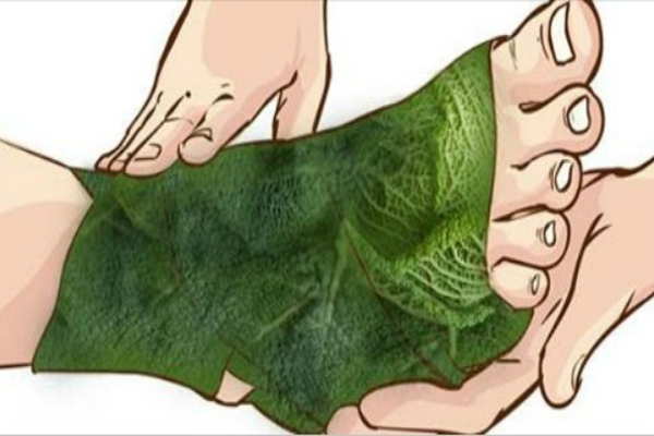 Удивительные результаты от обертывания ног листом капусты!