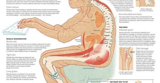Четыре ученых объясняют, как сидячий образ жизни влияет на ваше тело
