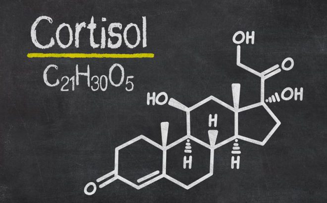 7 способов уменьшить уровень кортизола в вашем теле