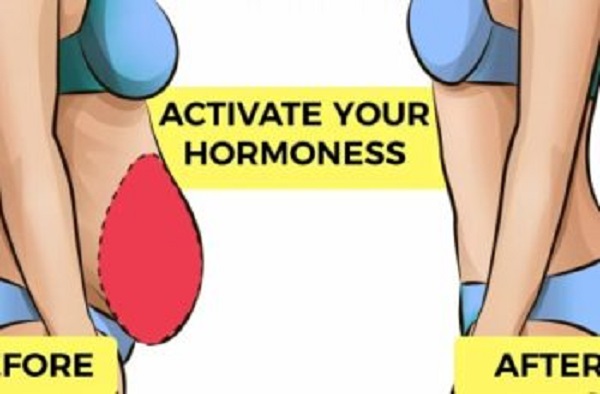 Активируйте свои гормоны в 4 шага, чтобы потерять лишние килограммы
