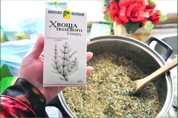 Чудо-настой хвоща полевого для волос