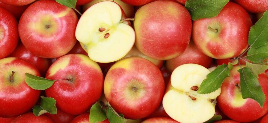 6 продуктов, которые смывают слизь из вашего тела