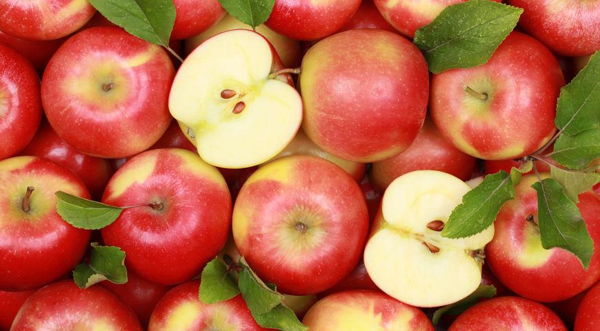 6 продуктов, которые смывают слизь из вашего тела