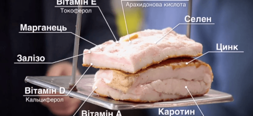 Сало вместо таблеток: лечит бронхит, очищает печень, оздоровляет желчный, прогоняет остеохондроз и ревматизм
