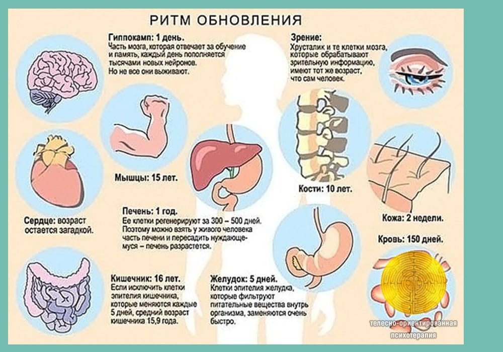 СКОЛЬКО ВАМ ЛЕТ? Не спешите отвечать, наверняка вы не знаете правду