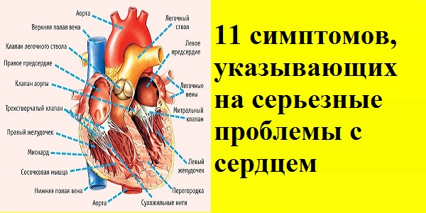 11 симптомов, указывающих на серьезные проблемы с сердцем!