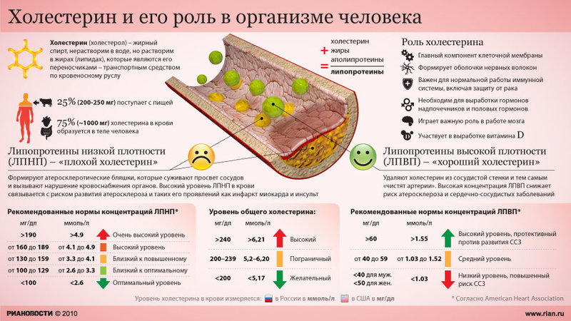 Миф о холестерине — крупнейший обман ХХ века