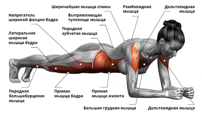 Эффективная комплексная тренировка для похудения